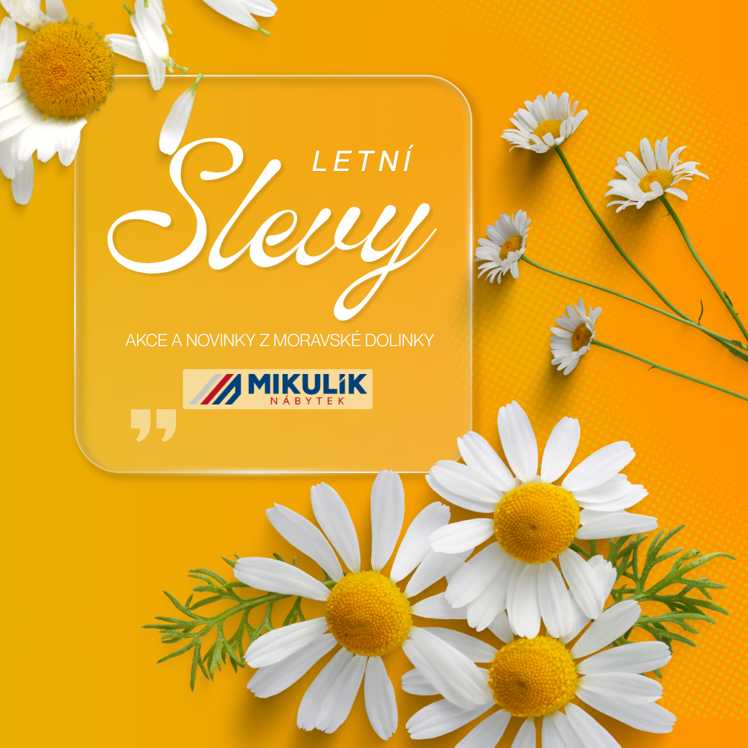 Nábytek SALIT