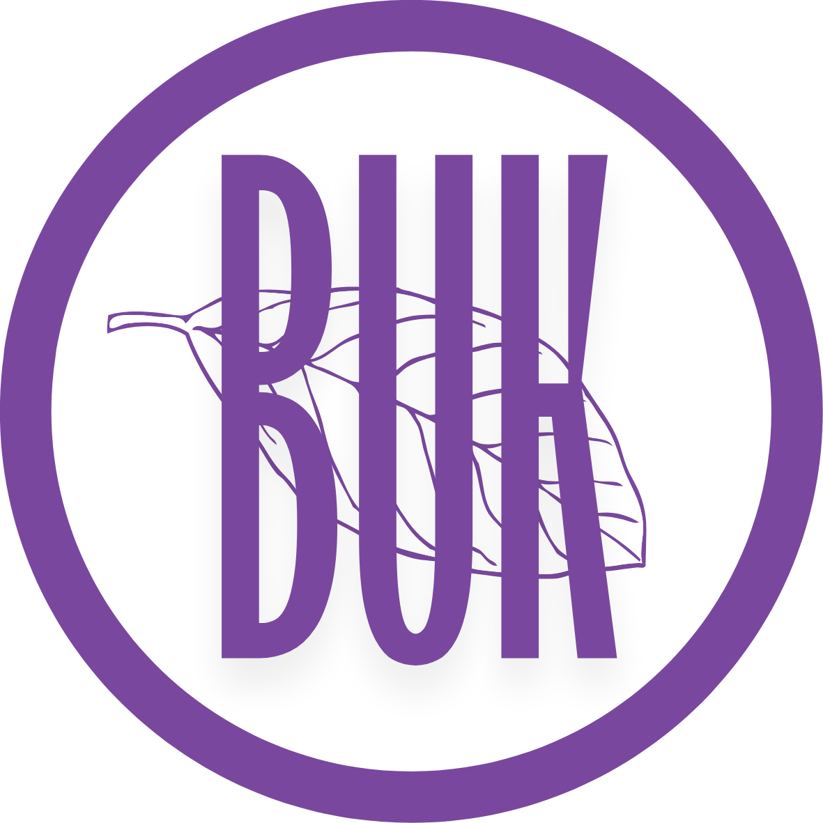 Bukové židle