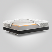 DOLCE VITA Dual 12 Firm