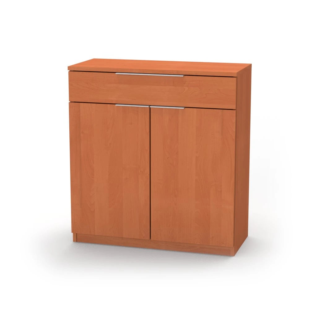 VARIO 1