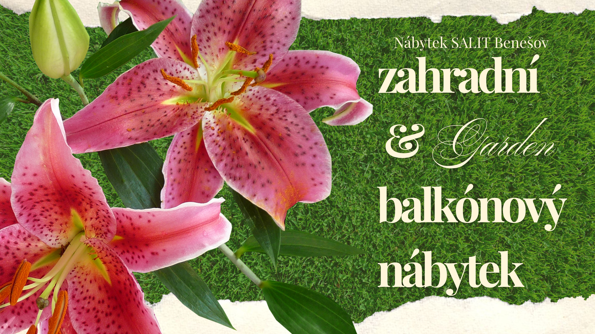 Nábytek SALIT