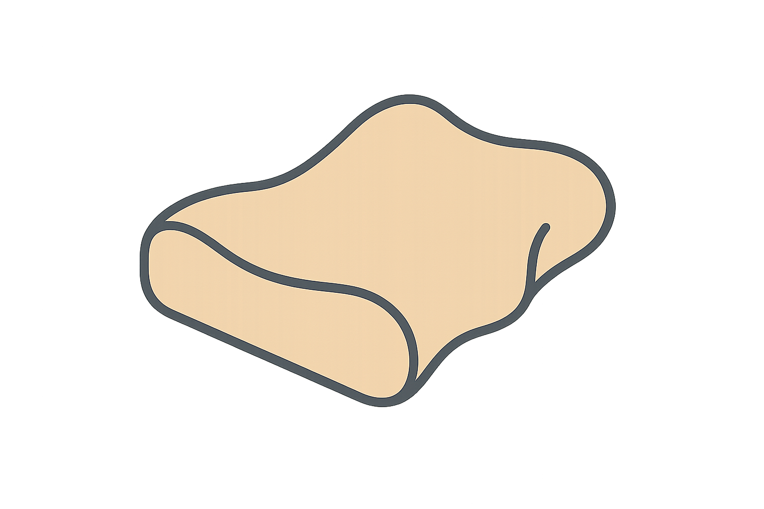 anatomic pillow icon