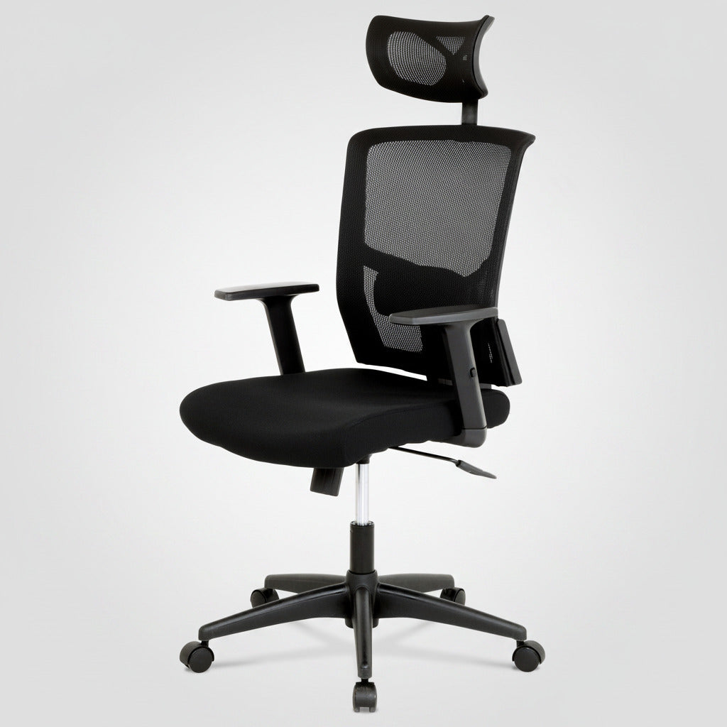 Kancelářská židle, houpací mechanismus, černá síťovina, KA-B1013 BK
